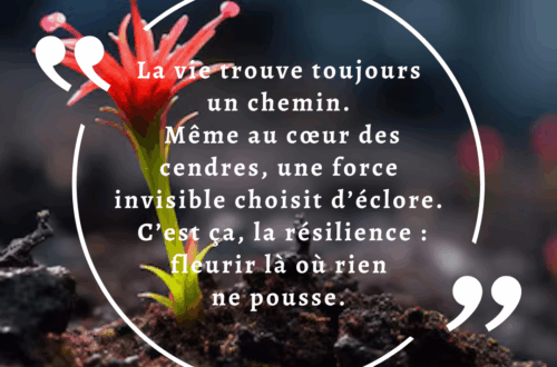 Résilience