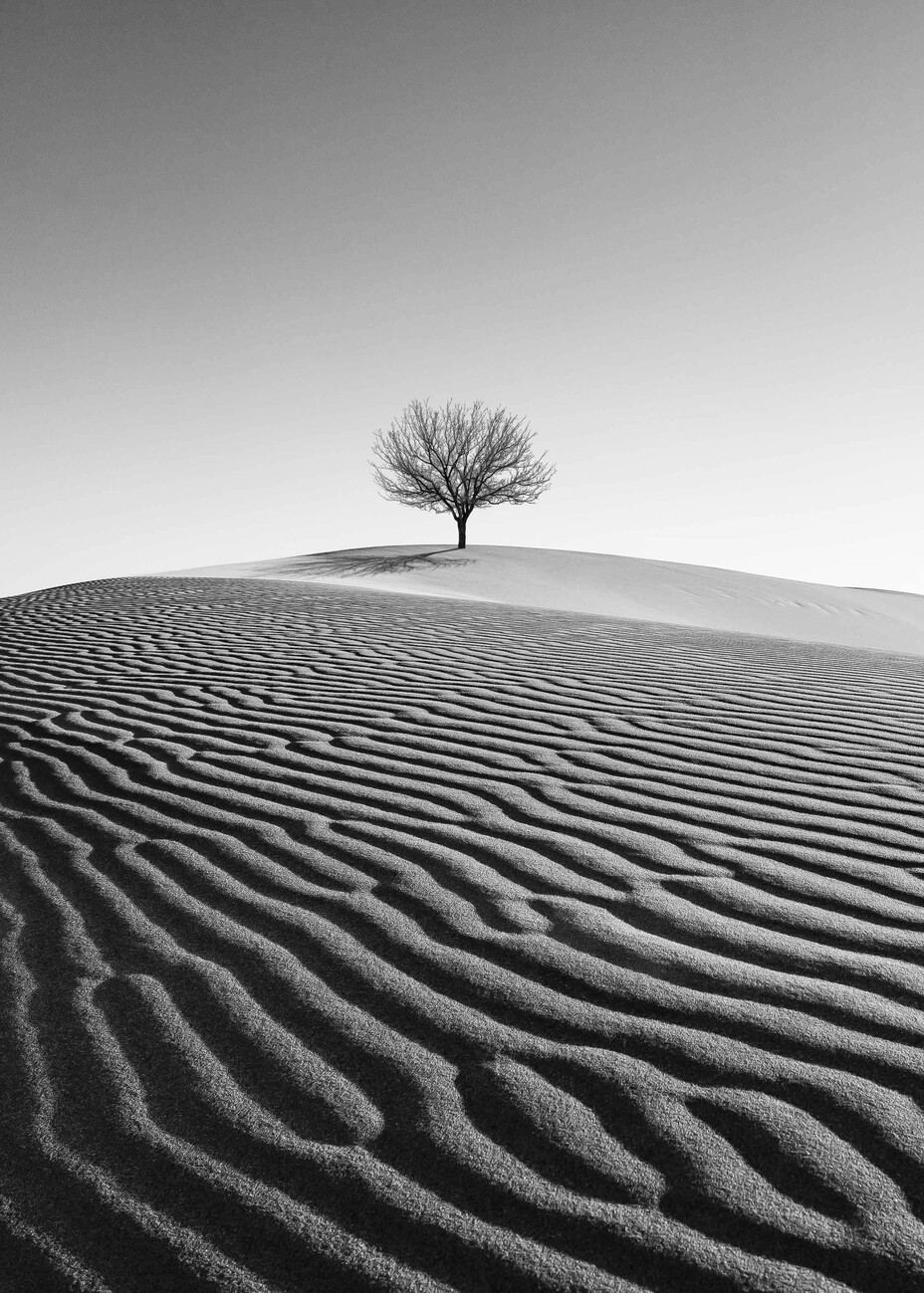 Résilience