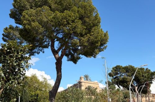 Le luxe des jours simples