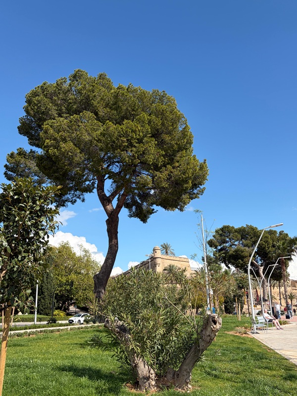 Le luxe des jours simples